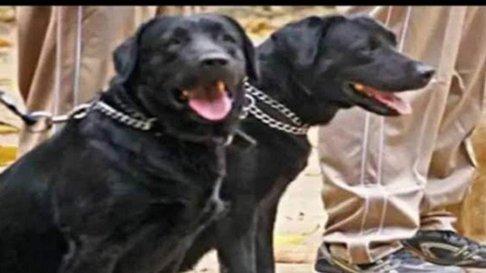 തമിഴ്നാട് പോലീസിൽ ആദ്യമായി സ്‌നിഫർ ഡോഗ് ഹാൻഡ്‌ലർമാരായി രണ്ട് വനിതക