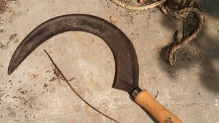 പ്രതീകാത്മക ചിത്രം (Photo- Canva)