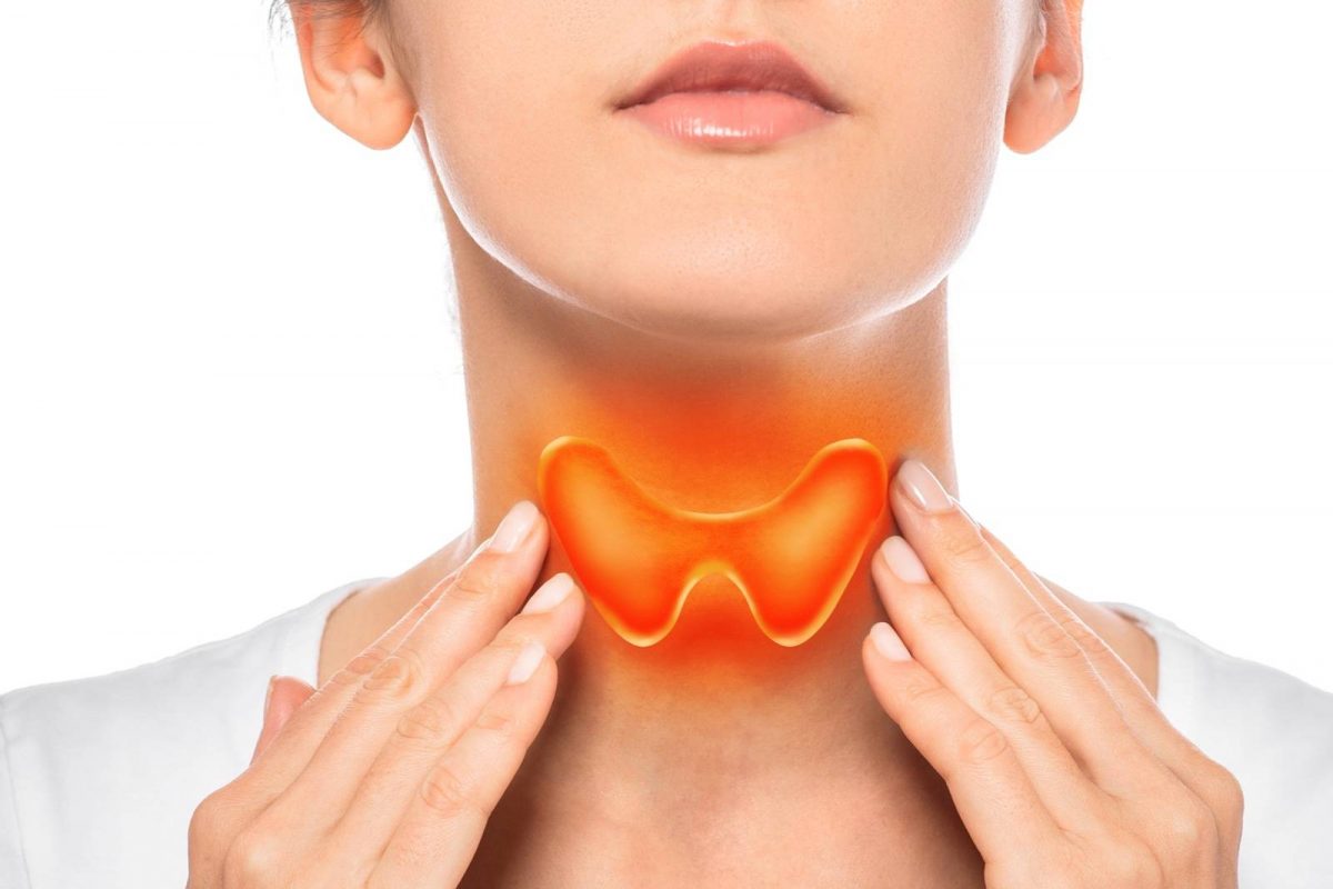 Health | തൈറോയ്ഡ് പ്രശ്നങ്ങളുണ്ടോ? പ്രതിരോധിക്കാൻ ആവശ്യമായ അഞ്ച് ഭക്ഷണങ്ങൾ