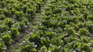 (പ്രതീകാത്മക ചിത്രം) (പ്രതീകാത്മക ചിത്രം)