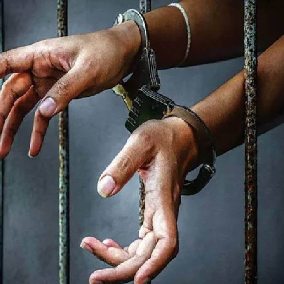  അറസ്റ്റിനെത്തുടർന്ന്, യുവതിക്കെതിരെ ഇന്ത്യൻ ശിക്ഷാനിയമ പ്രകാരം 323, 324, 504 എന്നീ വകുപ്പുകൾ ചുമത്തിയിട്ടുണ്ട് എന്ന് പോലീസ് പറഞ്ഞു