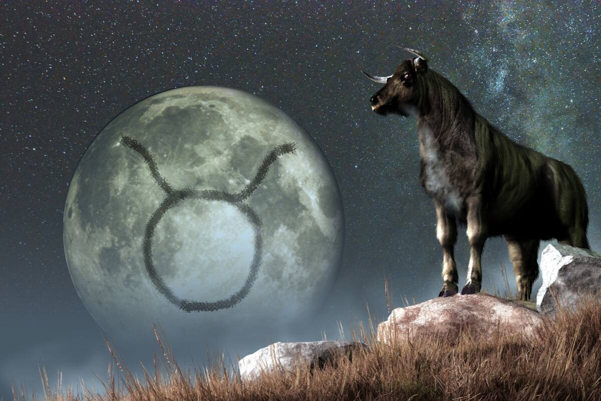 TAURUS: You will be successful in interview related to career business. You will be excited to meet new goals. Strengthen the new system. There will be profit at workplace. You will do better in the service sector. Invest wisely. REMEDY: Anoint the Shivling with Panchamrit. (Image: Shutterstock)
