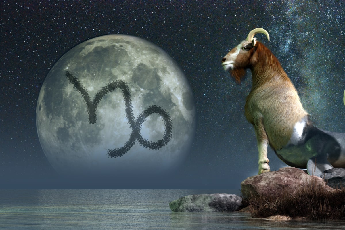 CAPRICORN: The success percentage will be good at the workplace. Economic commercial matters will be made. There will be positivity in career business. Take everyone along. Effective performance will be maintained at workplace. There will be opportunities for economic savings. Take the risk. REMEDY: Keep a silver coin in the purse. (Image: Shutterstock)