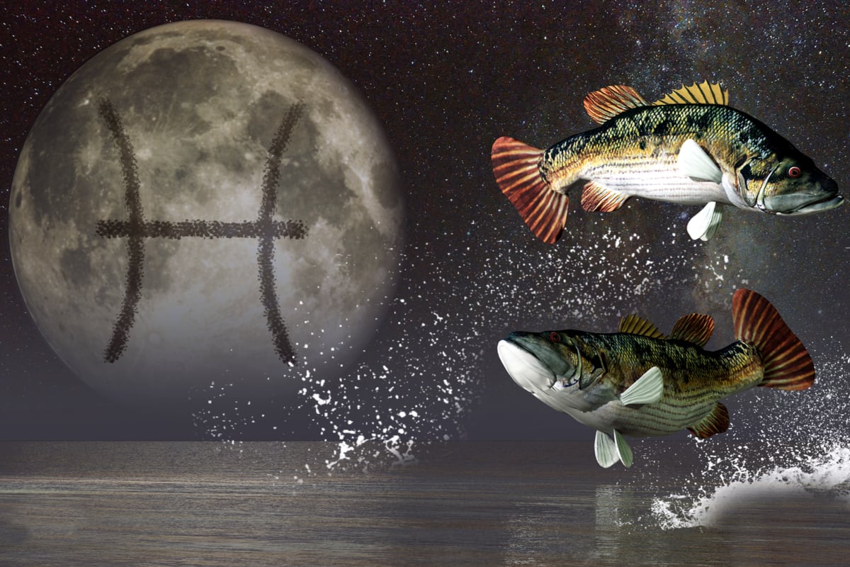 PISCES: Maintain clarity in financial transactions. Adopt smart delay policy. Avoid excessive enthusiasm. Follow policy rules. Increase the implementation of the plans. Management will be good. Efforts to achieve the goal will increase. Take decisions wisely. Don't fall into greed and temptation. REMEDY: Offer sweets to little girls. (Image: Shutterstock)