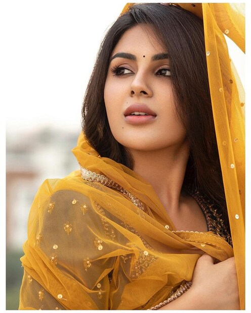  വിവാഹ ബന്ധം വേർപെടുത്തിയവാണ് തന്റെ മാതാപിതാക്കൾ. അച്ഛന്റെ സർനെയിം പേരിനൊപ്പം നിലനിർത്തരുതെന്ന് അമ്മയും ആഗ്രഹിക്കുന്നുണ്ട്. അമ്മയുടെ വികാരങ്ങളെ ബഹുമാനിക്കാൻ താൻ ആഗ്രഹിക്കുന്നുവെന്നും സംയുക്ത .