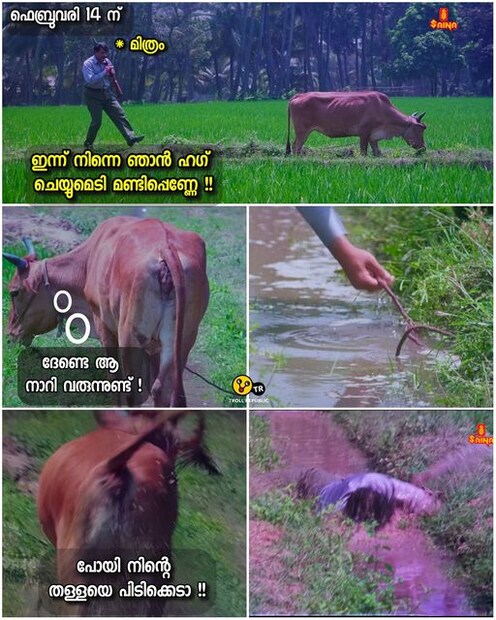  സംഗതി ചര്‍ച്ചയായതോടെ മീമുകളും വീഡിയോകളുമായി ട്രോളന്മാര്‍ കൗ ഹഗ് ഡേ’യെ ഏറ്റെടുത്തു. മലയാള സിനിമയിലെ പശുക്കളുമായി ബന്ധപ്പെട്ട രംഗങ്ങള്‍ കോര്‍ത്തിണക്കിയാണ് പല ട്രോളുകളും ഒരുക്കിയിരിക്കുന്നത്.