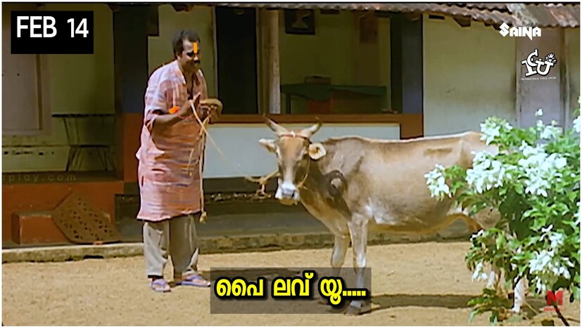  ഫെബ്രുവരി ആറിനാണ് ഇത് സംബന്ധിച്ച സര്‍ക്കുലര്‍ കേന്ദ്ര മൃഗ സംരക്ഷണ ബോര്‍ഡ് പുറത്തിറക്കിയത്. പാശ്ചാത്യ സംസ്‌കാരത്തിന്റെ പുരോഗതി വേദപാരമ്പര്യത്തെ നാശത്തിന്റെ വക്കില്‍ എത്തിച്ചിരിക്കുന്നു. പാശ്ചാത്യ സംസ്‌കാരത്തിന്റെ അതിപ്രസരം നമ്മുടെ പൈതൃകം മറന്നുപോകാന്‍ ഇടയാക്കിയിരിക്കുന്നു.