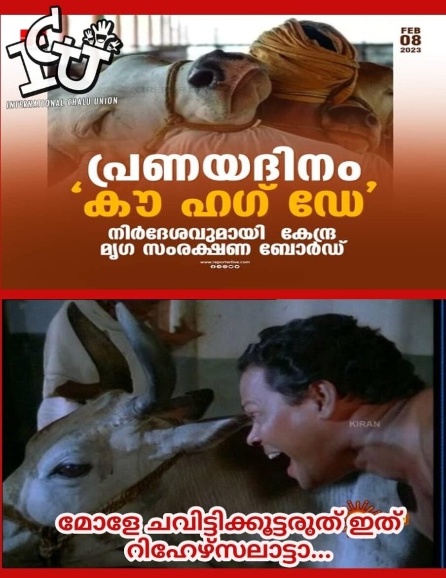  ‘കൗ ഹഗ് ഡേ’ ട്രോള്‍