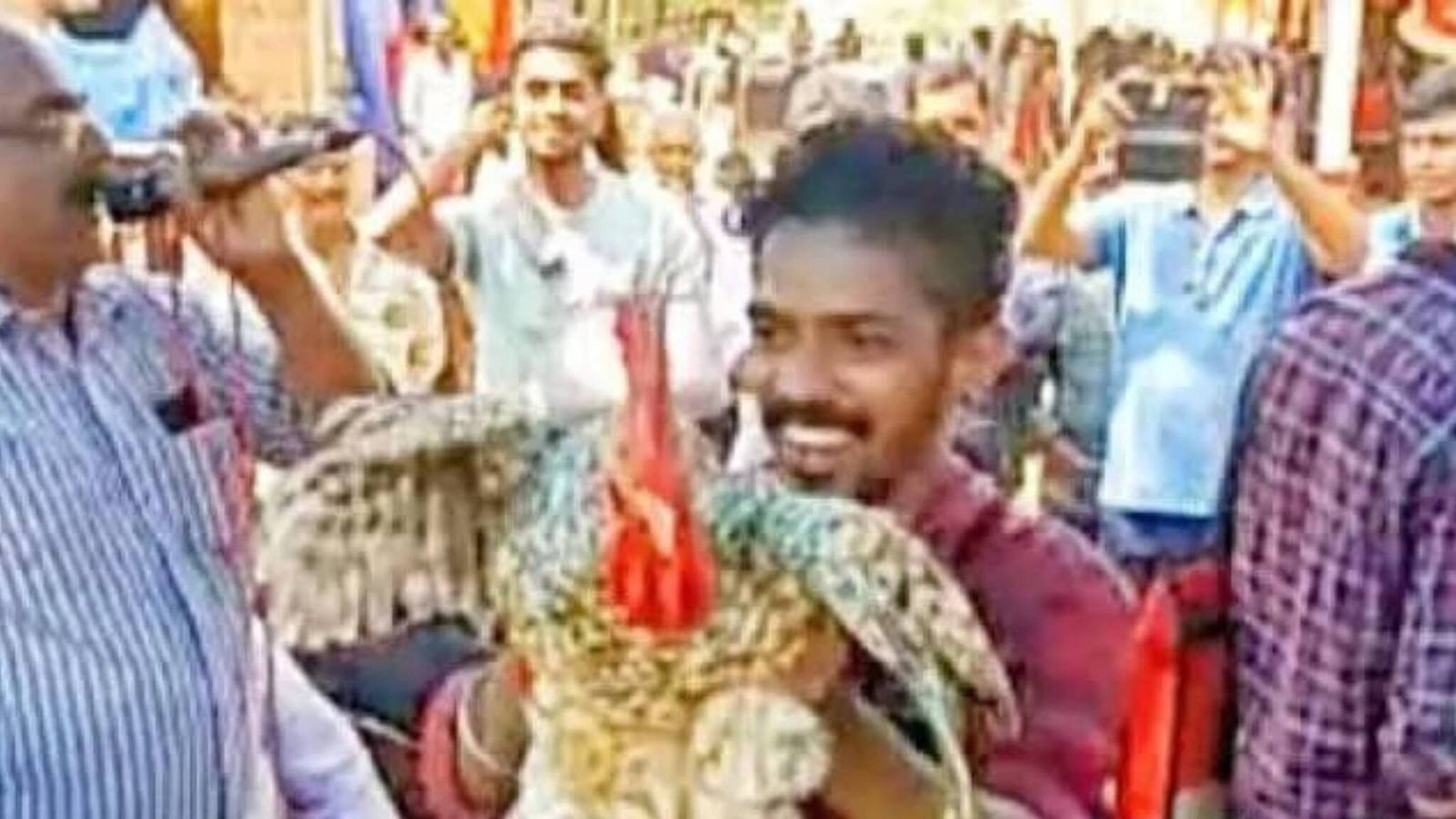 10 രൂപയിൽ തുടങ്ങി 34,000 രൂപയിൽ അവസാനിച്ചു; കണ്ണൂരിൽ 4 കിലോയുള്ള കോഴിക്കു വേണ്ടി വാശിയേറിയ ലേലം വിളി