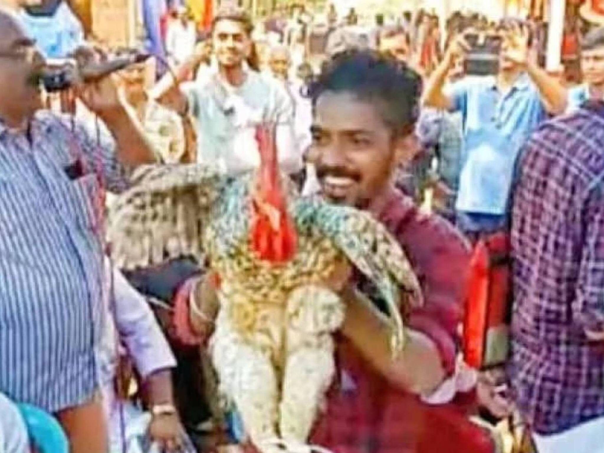 10 രൂപയിൽ തുടങ്ങി 34,000 രൂപയിൽ അവസാനിച്ചു; കണ്ണൂരിൽ 4 കിലോയുള്ള കോഴിക്കു വേണ്ടി വാശിയേറിയ ലേലം വിളി