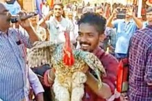 10 രൂപയിൽ തുടങ്ങി 34,000 രൂപയിൽ അവസാനിച്ചു; കണ്ണൂരിൽ 4 കിലോയുള്ള കോഴിക്കു വേണ്ടി വാശിയേറിയ ലേലം വിളി