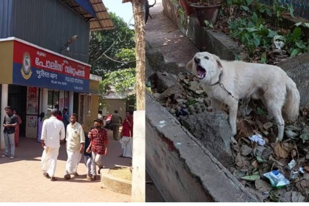 മൂന്നു തവണ കടിച്ച നായയെ സ്റ്റേഷനില്‍ എത്തിച്ച് അന്വേഷണം; ഒടുവിൽ നായ കുറ്റക്കാരനെന്ന് പൊലീസ്