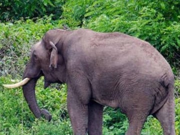 പ്രതീകാത്മക ചിത്രം