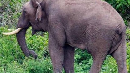 പ്രതീകാത്മക ചിത്രം പ്രതീകാത്മക ചിത്രം