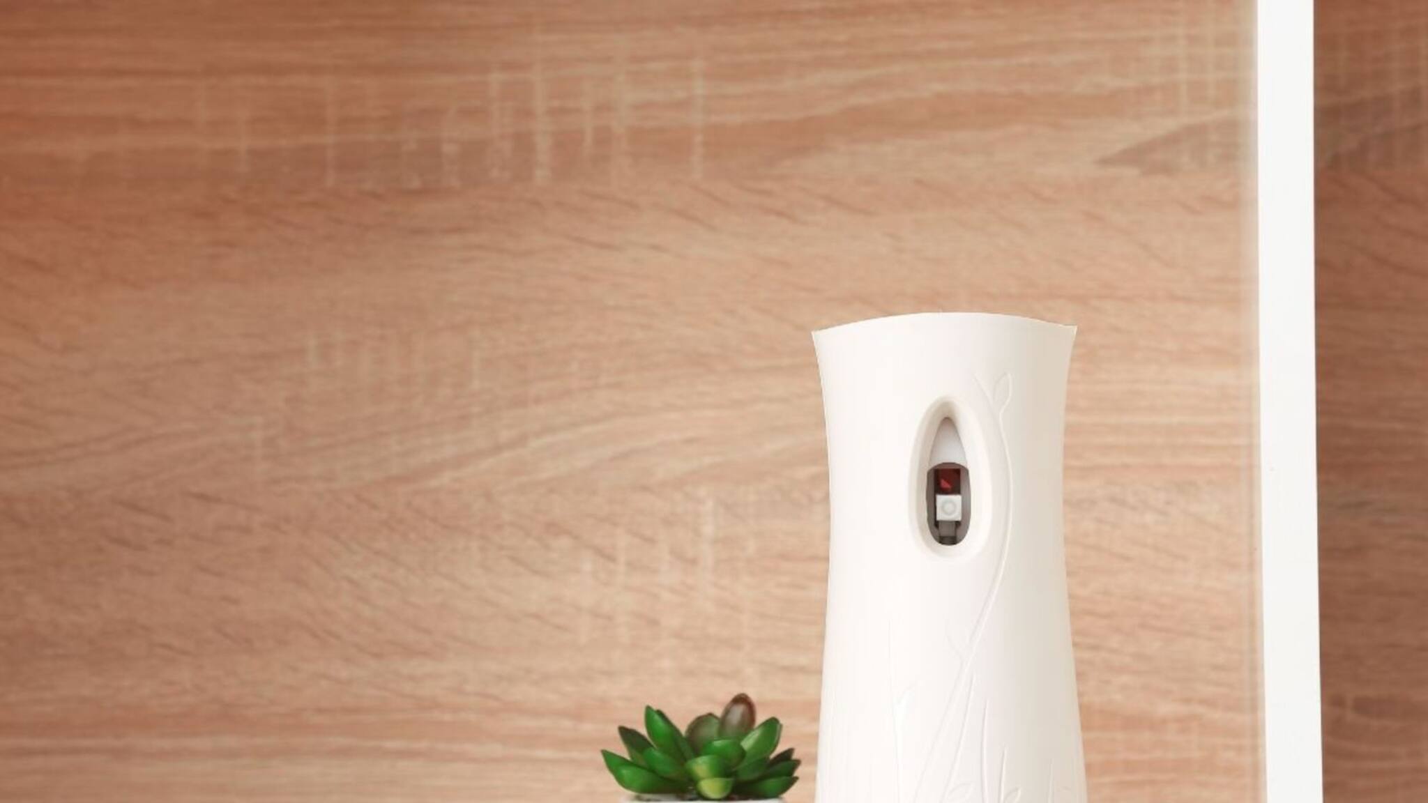 എയര്‍ ഫ്രെഷ്നറുകൾ ഉപയോഗിക്കാറുണ്ടോ? ആരോഗ്യ പ്രശ്നങ്ങൾ നിരവധിയെന്ന് വിദഗ്ധർ