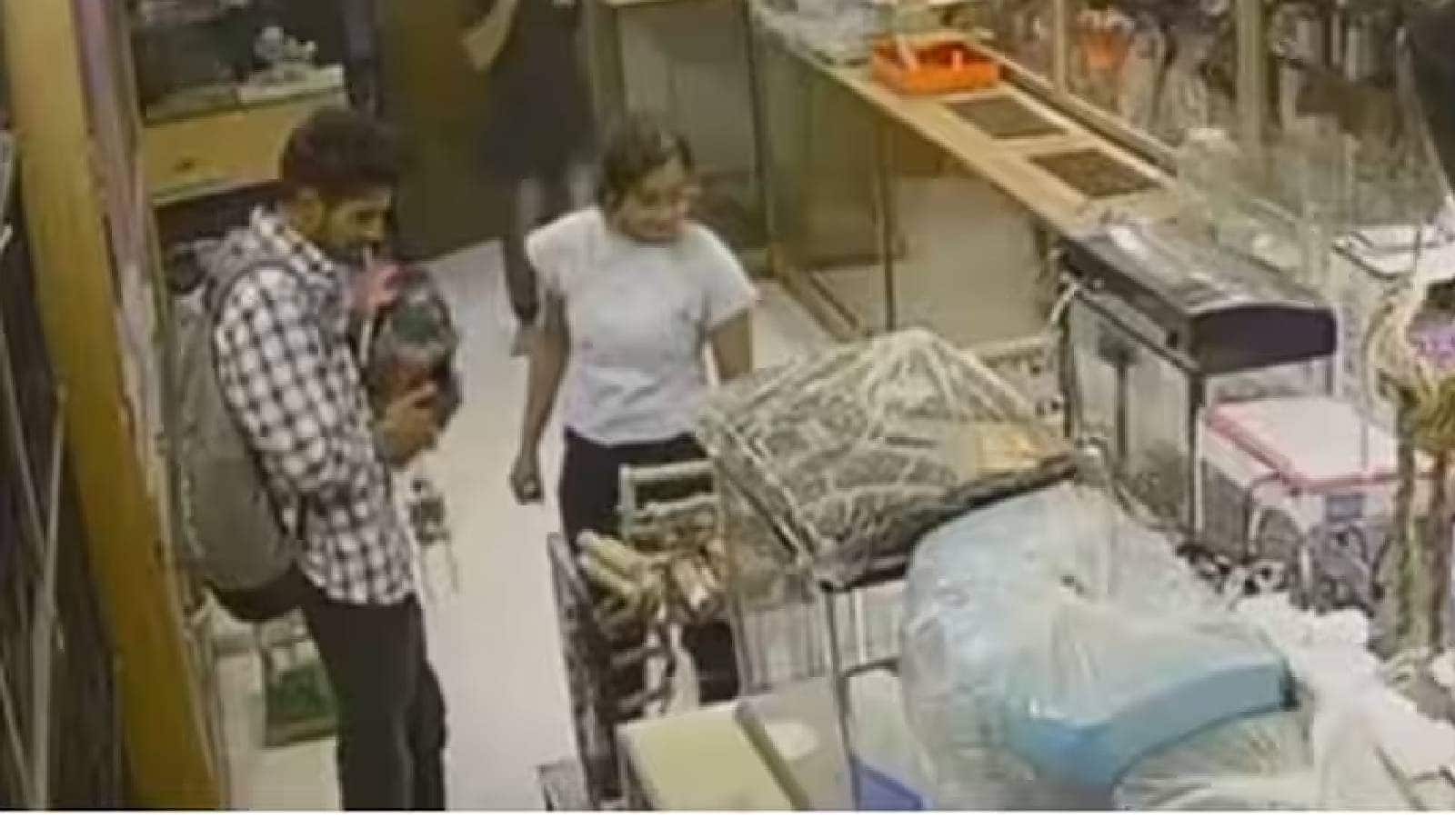 Engineering students in custody for stealing a puppy from a pet shop in