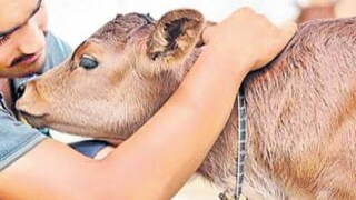 (പ്രതീകാത്മക ചിത്രം)