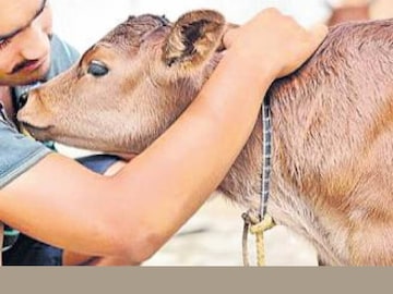 (പ്രതീകാത്മക ചിത്രം)