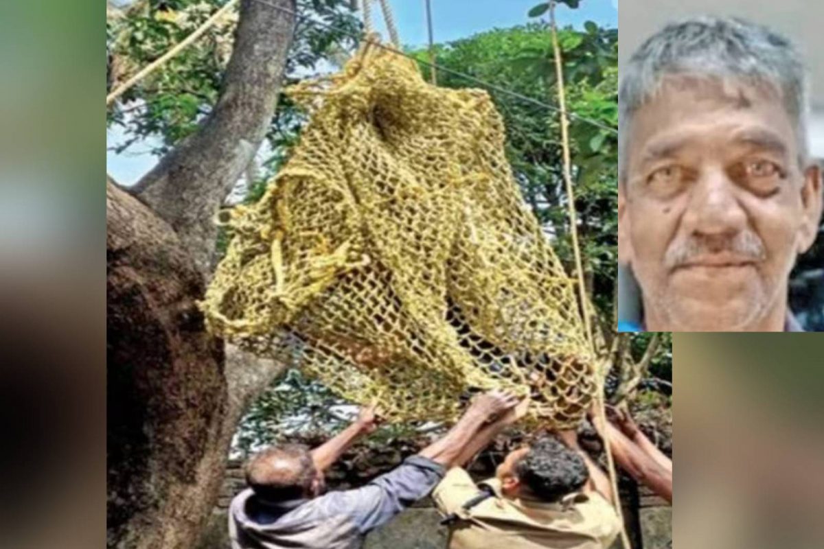 മാവില്‍ കയറുന്നതിനിടെ നെഞ്ചുവേദന വന്ന് കുഴഞ്ഞുവീണ 66കാരൻ രക്ഷാപ്രവർത്തനത്തിനിടെ മരിച്ചു