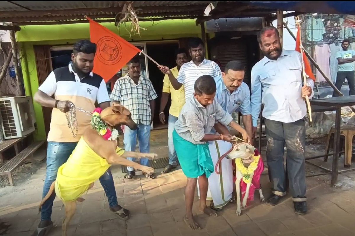 നാടിന്‍റെ സംസ്കാരം തകരുന്നു; വാലന്‍റൈന്‍സ് ദിനത്തിന് ‍ ഹിന്ദു മുന്നണി 'നായ കല്യാണം'നടത്തി