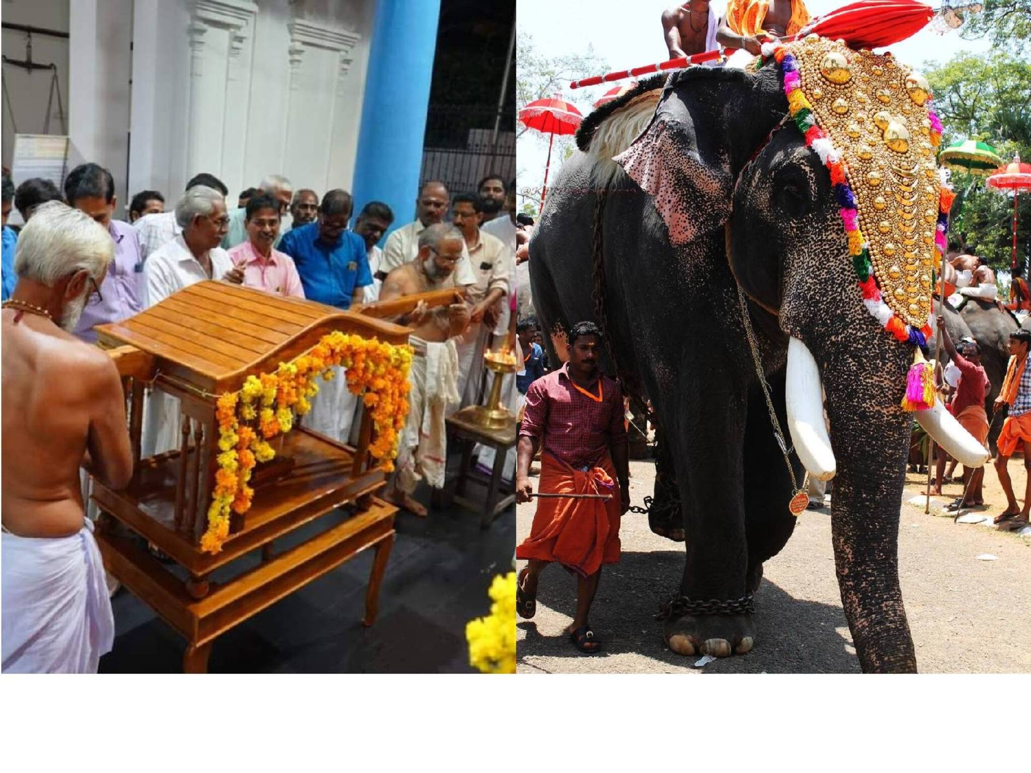 ആനയെ ഒഴിവാക്കി; എഴുന്നള്ളിപ്പിന് പല്ലക്ക് ഉപയോഗിക്കുമെന്ന് ആലുവ തിരുവൈരാണിക്കുളം ക്ഷേത്ര ഭരണസമിതി