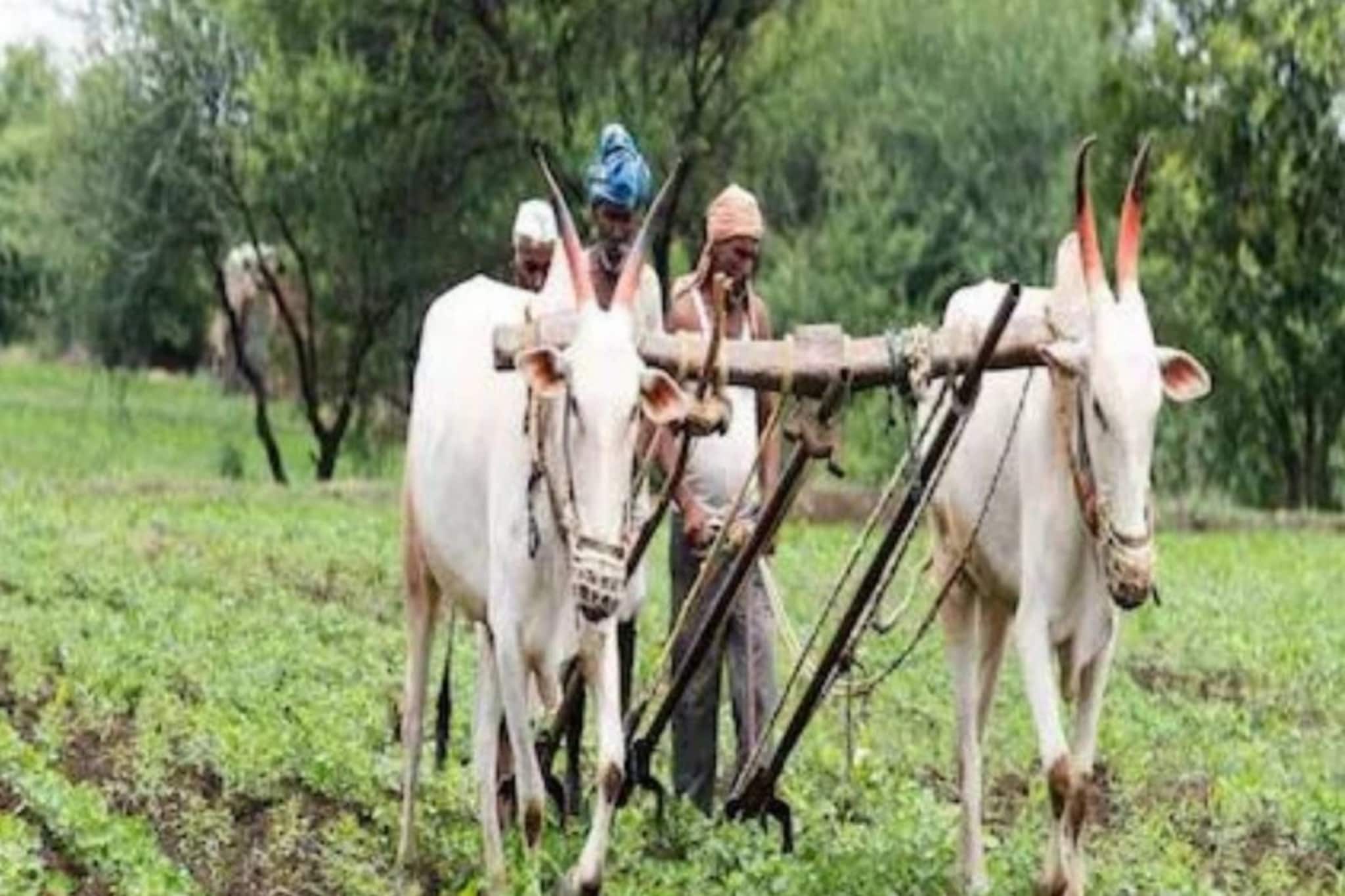 PM Kisan Samman Nidhi Yojana | 13-ാം ഗഡു ഫെബ്രുവരി 24ന് ലഭിച്ചേക്കും; സ്റ്റാറ്റസ് പരിശോധിക്കേണ്ടത് എങ്ങനെ?