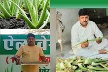 കറ്റാര്‍ വാഴ കൃഷിചെയ്ത് ലഡു അടക്കം 45ഓളം ഉത്പന്നങ്ങൾ വിറ്റ് ലക്ഷങ്ങൾ നേടുന്ന ചായക്കടക്കാരൻ