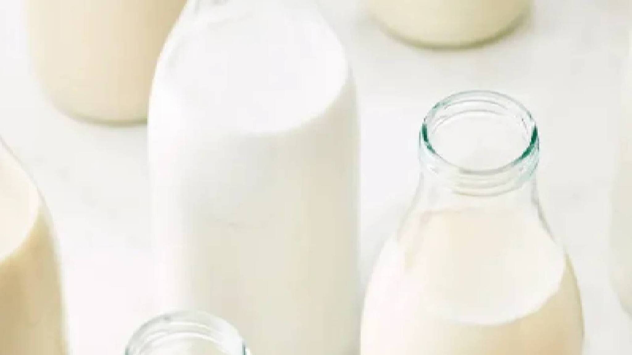 Milk | പാലിനൊപ്പം ഇതെല്ലാം കഴിക്കാറുണ്ടോ? വേണ്ടാട്ടോ, പണി പാളും