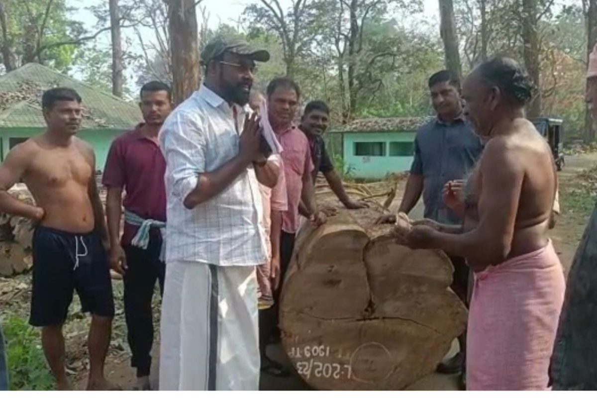റെക്കോഡ് വിലയിൽ തിളങ്ങി നിലമ്പൂർ തേക്ക് ;  114 വർഷം പഴക്കമുള്ള ഒരു തേക്കിന് ലേലത്തിൽ ലഭിച്ചത് 39.25 ലക്ഷം രൂപ