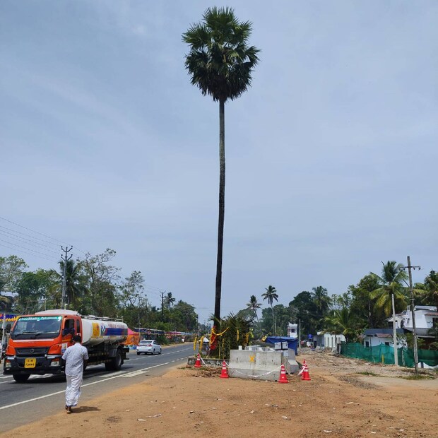  ദേശീയ പാത 66 ലൂടെ ഹരിപ്പാട് നിന്ന് ആലപ്പുഴയ്ക്കുള്ള പോകുമ്പോൾ അമ്പലപ്പുഴയ്ക്കും തോട്ടപ്പള്ളിയ്ക്കും ഇടയിൽ പുറക്കാടിന് അടുത്താണ് കുരുട്ടൂര്‍ ശ്രീഭഗവതി ക്ഷേത്രം. ഒറ്റപ്പന എന്നാണ് കുരുട്ടൂര്‍ ശ്രീഭഗവതി ക്ഷേത്രം നിൽക്കുന്ന സ്ഥലം അറിയപ്പെടുന്നത്. ക്ഷേത്രത്തിനു മുന്നിലെ പനയിൽ നിന്നാണ് ഈ സ്ഥലത്തിന് പേര് ലഭിച്ചത്. അഖില കേരള ധീവരസഭ ബ്രാഞ്ച് 60 (അരയവംശ പരിപാലന കരയോഗ)ന്റെ ഉടമസ്ഥതയിലാണ് ക്ഷേത്രം.