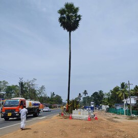 ദേശീയപാതാ വികസനം; ആലപ്പുഴയിൽ ക്ഷേത്രവുമായി ബന്ധപ്പെട്ട ഒറ്റപ്പന ബുധനാഴ്ച മുറിച്ചുമാറ്റും ദേശീയപാതാ വികസനം; ആലപ്പുഴയിൽ ക്ഷേത്രവുമായി ബന്ധപ്പെട്ട ഒറ്റപ്പന ബുധനാഴ്ച മുറിച്ചുമാറ്റും