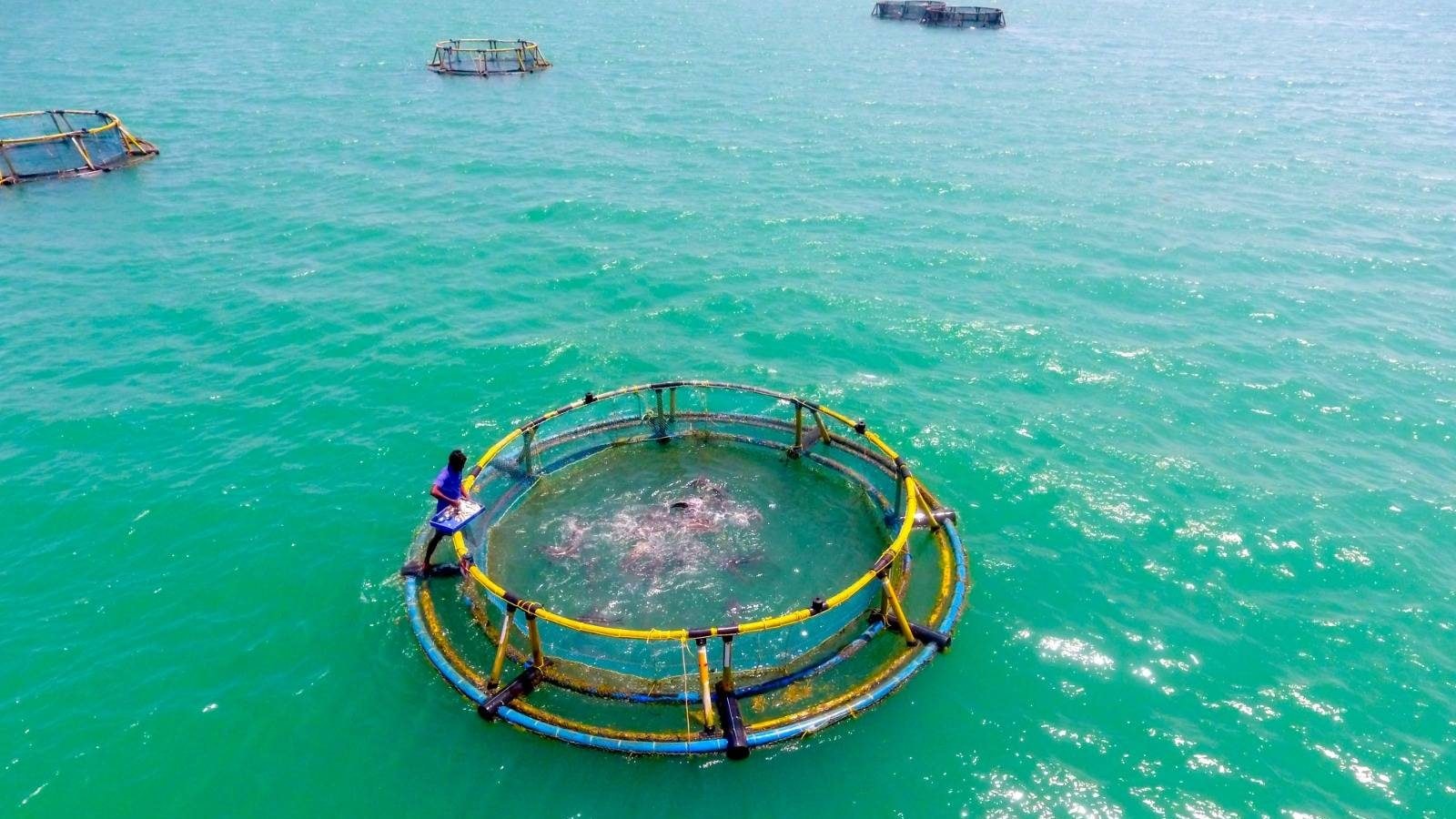 Aquaculture in 146 places within 10 km from the sea coast;  The target is to produce 21.3 lakh tonnes per annum