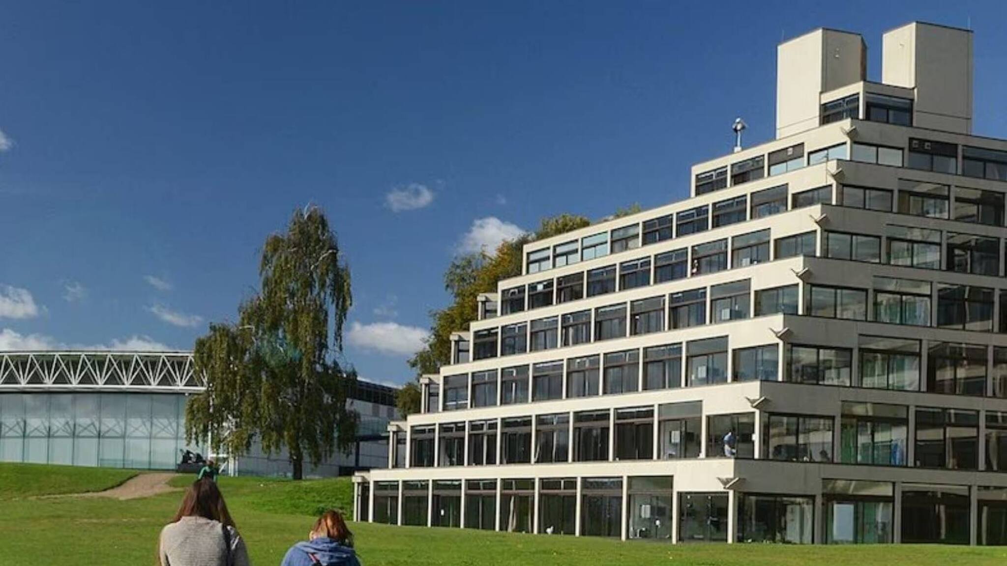 യുകെ യങ് പ്രൊഫഷണൽസ് വിസ: അപേക്ഷിക്കേണ്ടത് എങ്ങനെ? മാനദണ്ഡങ്ങൾ എന്തെല്ലാം?