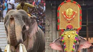 തെച്ചിക്കോട്ടുകാവ് രാമചന്ദ്രൻ