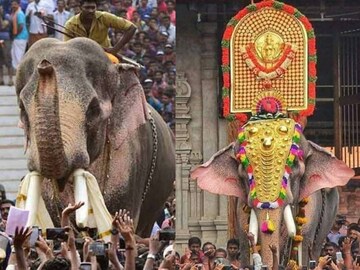 തെച്ചിക്കോട്ടുകാവ് രാമചന്ദ്രൻ