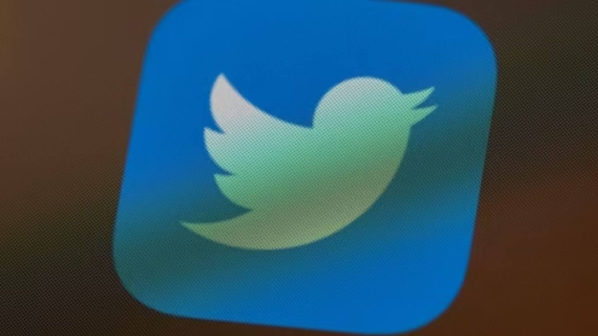 ഓഫീസില്‍ കിടന്നുറങ്ങി, മസ്കിനു വേണ്ടി കഠിനാധ്വാനം ചെയ്തു; ട്വിറ്റർ സീനിയർ എക്സിക്യുട്ടീവിനെയും പിരിച്ചുവിട്ടു