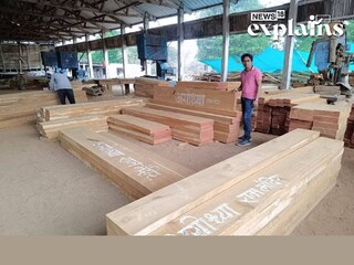 ചന്ദ്രപൂർ തേക്ക്