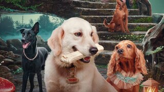 വാലാട്ടി