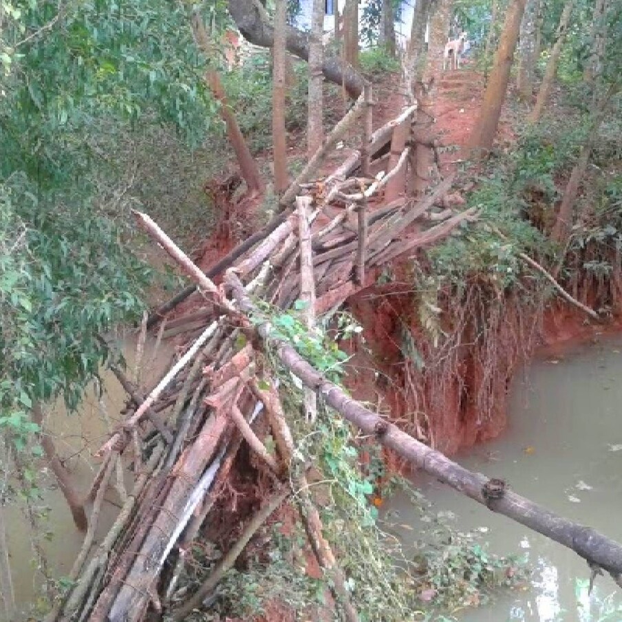  ചുറ്റുപാടുള്ള സ്ഥലങ്ങളെല്ലാം വെള്ളത്തിനടിയിലായിട്ടും ഒറ്റത്തുരുത്തിലെ വീട്ടിൽ ഏകയായി ധൈര്യത്തോടെ നിലകൊണ്ടു ഡാളി ഐക്യദാർഡ്യവുമായി സിനിമാതാരങ്ങളടക്കം നേരിട്ടെത്തിയിരുന്നു.