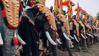 പ്രതീകാത്മക ചിത്രം 