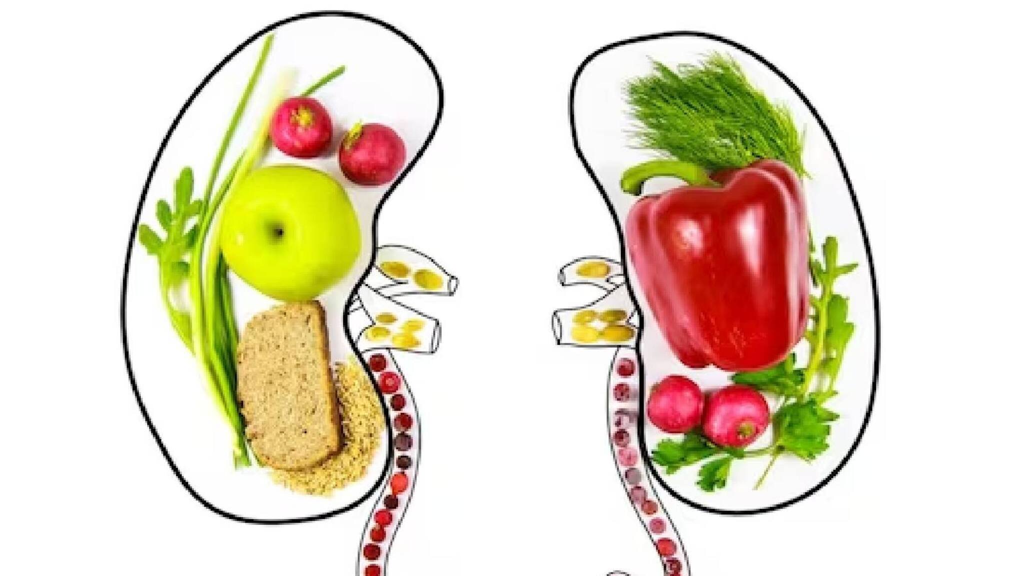 World Kidney Day | ലോക വൃക്ക ദിനം: വൃക്കയുടെ ആരോഗ്യം നിലനിർത്താൻ കഴിക്കേണ്ട ഭക്ഷണങ്ങൾ