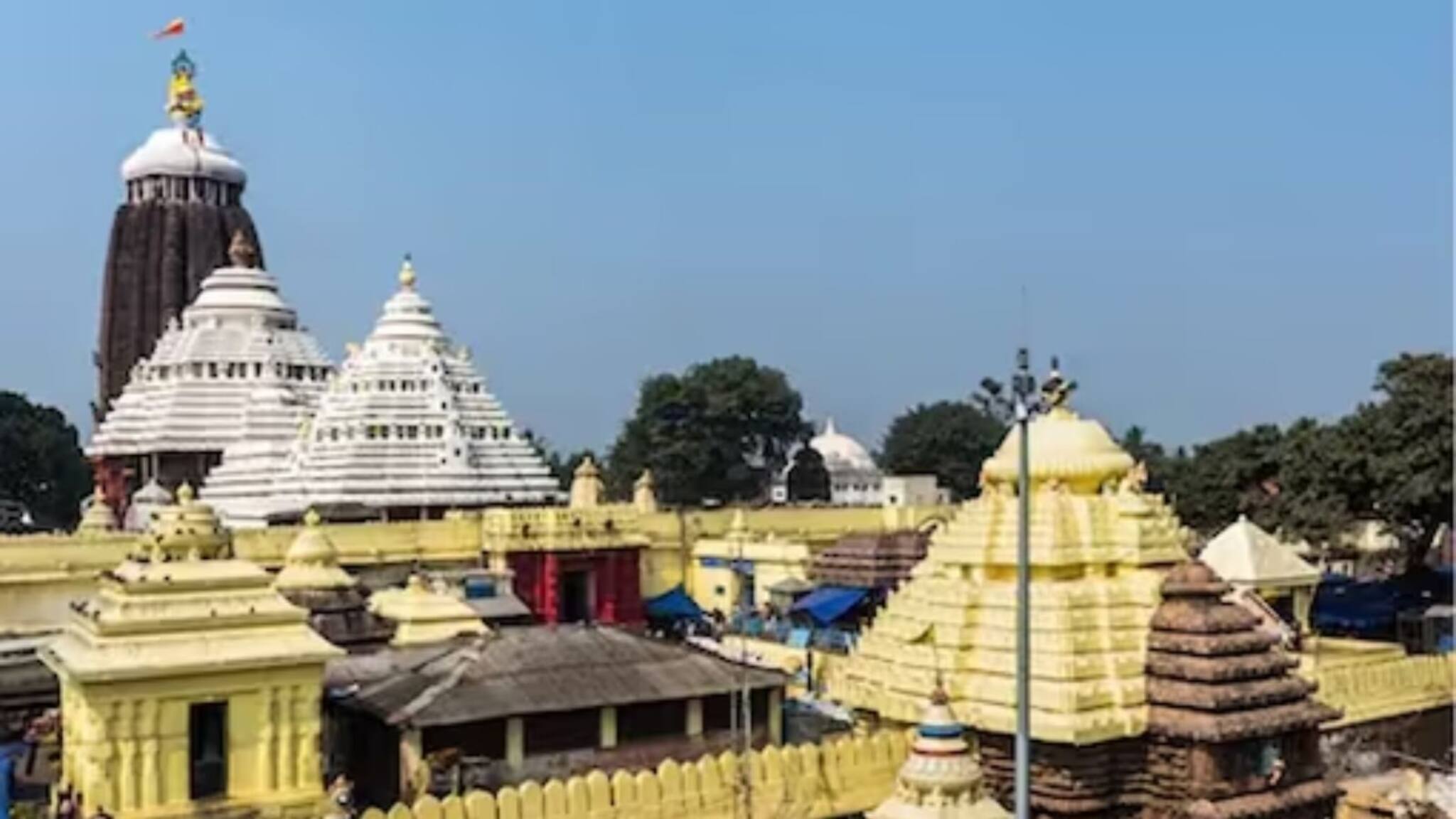 'ദൈവങ്ങൾക്ക് നിദ്രാഭംഗമുണ്ടാകും'; പുരി ജ​ഗന്നാഥ ക്ഷേത്രത്തിലെ എലിപിടിത്ത യന്ത്രം ഒഴിവാക്കാന്‍ തീരുമാനം