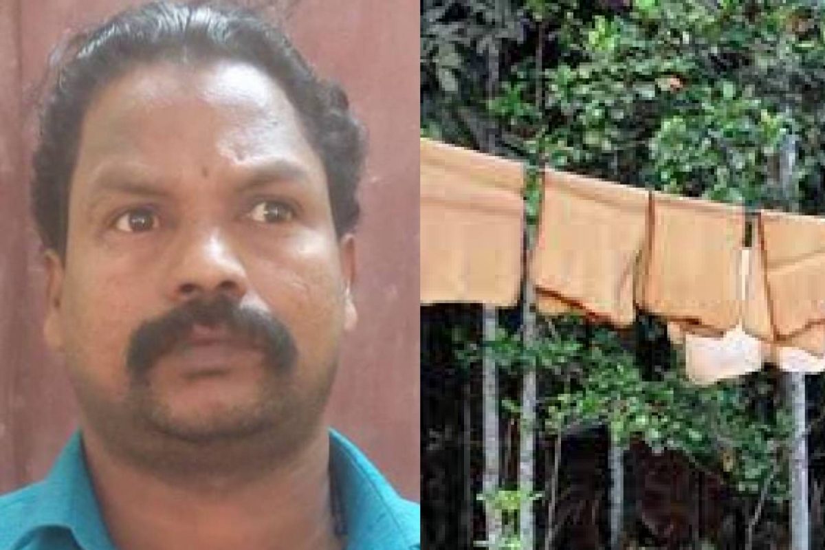 നാരങ്ങാനം ആലുങ്കൽ പള്ളിമുരുപ്പേൽ വീട്ടിൽ കുഞ്ഞുമോന്റെ മകൻ തങ്കച്ചനെയാണ് പോലീസ് പിടികൂടിയത്