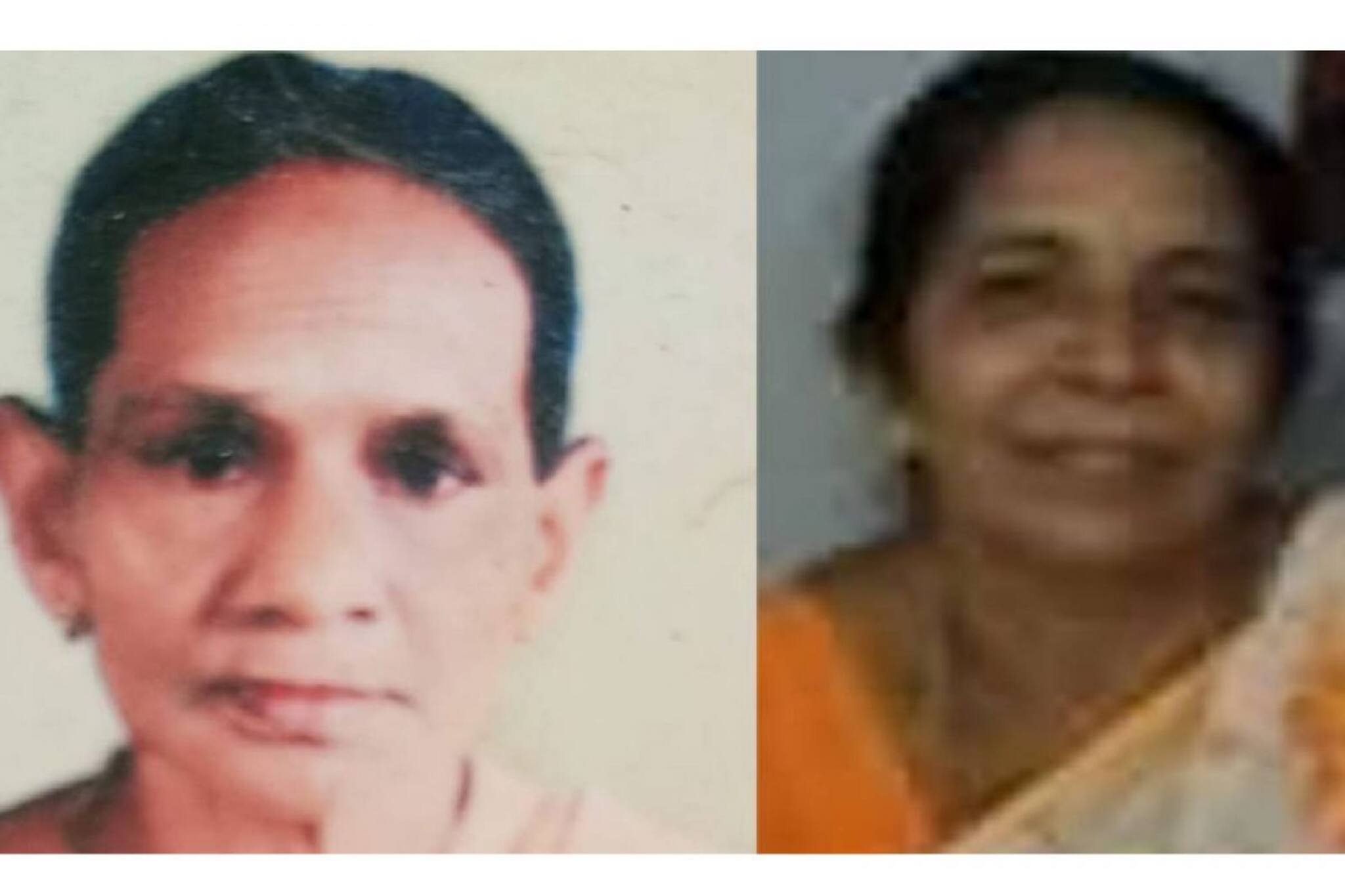 റോഡ് മുറിച്ചു കടക്കുന്നതിനിടെ വഴിയാത്രക്കാരിയെ ഇടിച്ചശേഷം കാര്‍ മരത്തിലിടിച്ചു; രണ്ട് മരണം