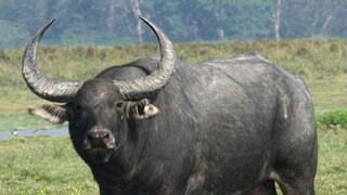 പ്രതീകാത്മക ചിത്രം