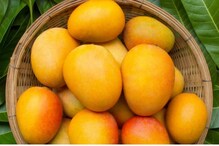 National Mango Day | മാമ്പഴമാ മാമ്പഴം; ഇന്ന് ദേശീയ മാമ്പഴ ദിനം: മാമ്പഴത്തെ വര്‍ണിച്ചെഴുതിയ കവികള്‍