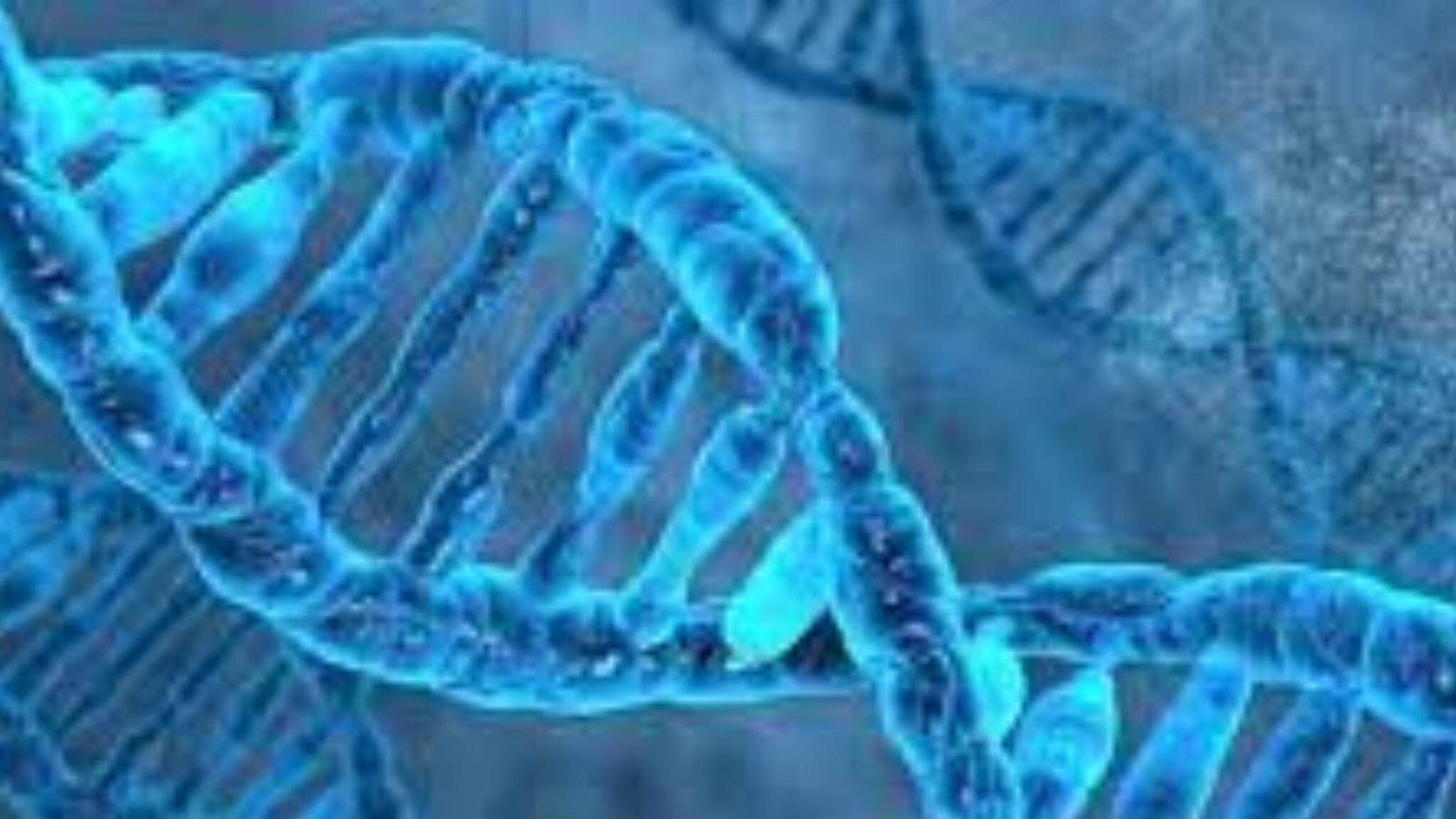 ഡിഎന്‍എയിലുള്ള ചില വൈറസുകള്‍ക്ക് കാന്‍സറിനെ പ്രതിരോധിക്കാനാകുമെന്ന് പഠനം