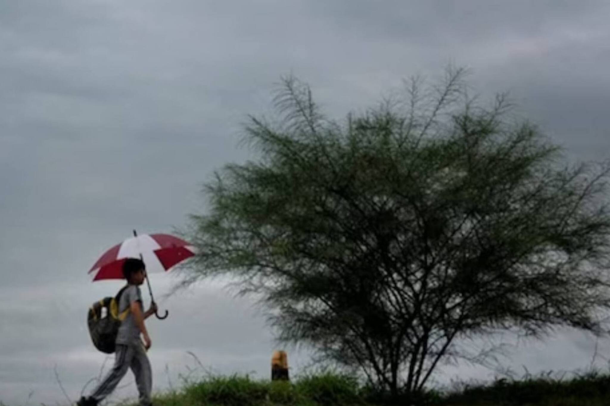 കാലവർഷം വൈകുന്നു; അറബിക്കടലിൽ ചക്രവാതച്ചുഴി രൂപപ്പെടാൻ സാധ്യത