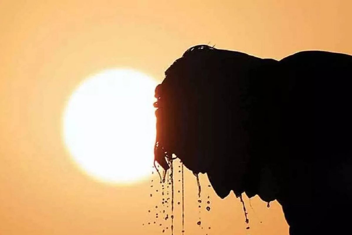 സാധാരണയെക്കാള്‍ 2°C മുതൽ 4°C വരെ താപനില ഉയർന്നേക്കുമെന്നാണ് മുന്നറിയിപ്പ്. 