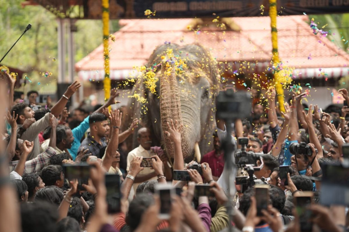 മേളം കൊട്ടിക്കയറി, തലയാട്ടി നടയമരങ്ങൾ ഊന്നി അവർ വരിവരിയായി പുരുഷാരത്തിന് നടുവിലേക്ക്. ക്ഷേത്ര ഗോപുരം കടന്നെത്തിയ ഗജറാണിമാർക്കൊപ്പം കൊടൂങ്ങൂർ മേജർ ദേവീക്ഷേത്രവും ചരിത്രത്തിലേക്ക് നടന്നുകയറുകയായിരുന്നു. ഗജറാണിമാരെ കണ്ട് കൊടുങ്ങൂർ ആർപ്പുവിളിച്ചു
